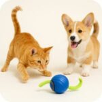 Interactive Pet Toys