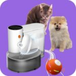 Pet Gadgets