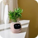 Tech Decor