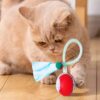 Interactive Cat Toys – 3rd Gen Motion-Activated Moving Cat Ball with Elastic Tail for Indoor Cats & Kittens