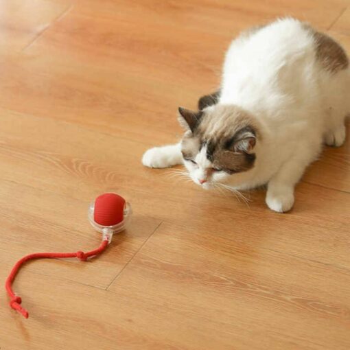 Interactive Cat Toys – 3rd Gen Motion-Activated Moving Cat Ball with Elastic Tail for Indoor Cats & Kittens