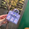 Mini Platinum Bag – Small House & Car Key Decoration | Cute AirPods Bag & Key Storage