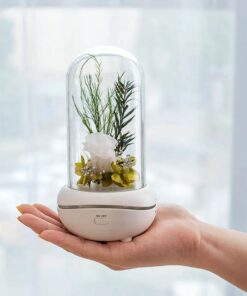 New Concept Aroma Diffuser – Essential Oil Night Light with Eternal Flower, Romantic Gift, Aromatherapy LED Light, Air Freshener