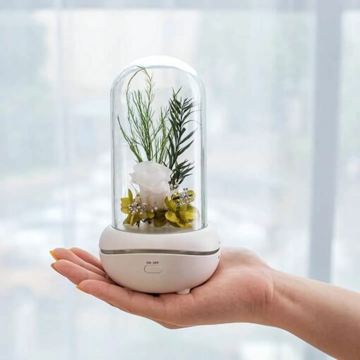 New Concept Aroma Diffuser – Essential Oil Night Light with Eternal Flower, Romantic Gift, Aromatherapy LED Light, Air Freshener