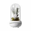 New Concept Aroma Diffuser – Essential Oil Night Light with Eternal Flower, Romantic Gift, Aromatherapy LED Light, Air Freshener