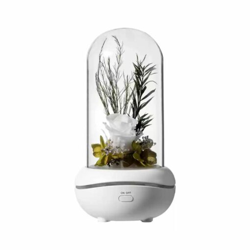 New Concept Aroma Diffuser – Essential Oil Night Light with Eternal Flower, Romantic Gift, Aromatherapy LED Light, Air Freshener