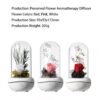 New Concept Aroma Diffuser – Essential Oil Night Light with Eternal Flower, Romantic Gift, Aromatherapy LED Light, Air Freshener