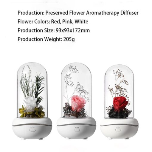 New Concept Aroma Diffuser – Essential Oil Night Light with Eternal Flower, Romantic Gift, Aromatherapy LED Light, Air Freshener