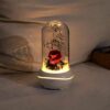 New Concept Aroma Diffuser – Essential Oil Night Light with Eternal Flower, Romantic Gift, Aromatherapy LED Light, Air Freshener