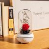 New Concept Aroma Diffuser – Essential Oil Night Light with Eternal Flower, Romantic Gift, Aromatherapy LED Light, Air Freshener