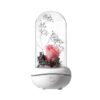 New Concept Aroma Diffuser – Essential Oil Night Light with Eternal Flower, Romantic Gift, Aromatherapy LED Light, Air Freshener