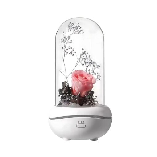 New Concept Aroma Diffuser – Essential Oil Night Light with Eternal Flower, Romantic Gift, Aromatherapy LED Light, Air Freshener