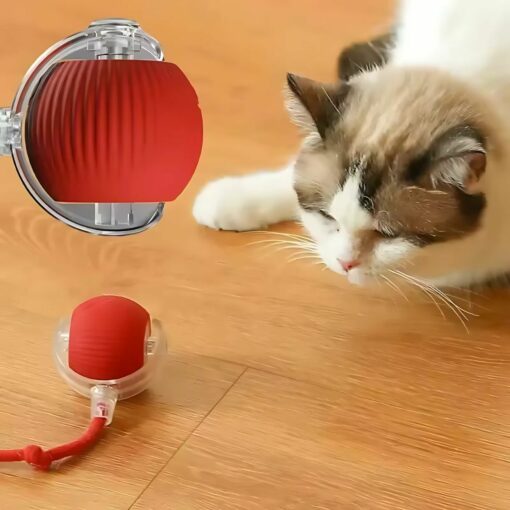 Interactive LED Cat Toy Ball – Moving Smart Ball for Kittens & Cats