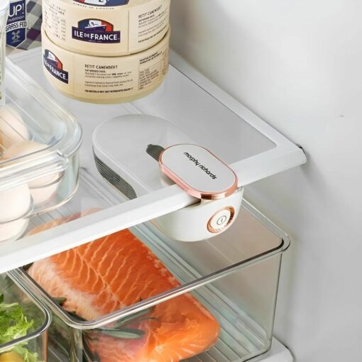 Digital Air Purifier & Food Freshness Keeper – Morphy Richards  Fridge Deodorizer for Odor Removal
