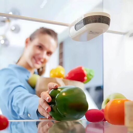 Digital Air Purifier & Food Freshness Keeper – Morphy Richards  Fridge Deodorizer for Odor Removal
