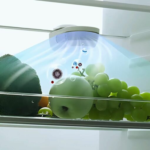 Digital Air Purifier & Food Freshness Keeper – Morphy Richards  Fridge Deodorizer for Odor Removal