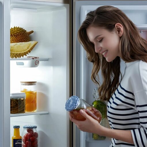 Digital Air Purifier & Food Freshness Keeper – Morphy Richards  Fridge Deodorizer for Odor Removal