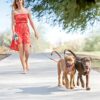 Retractable Dual Dog Leash with LED, 360° No Tangle – 3M Reflective, Dual Brakes for Each Dog