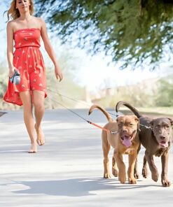 Retractable Dual Dog Leash with LED, 360° No Tangle – 3M Reflective, Dual Brakes for Each Dog