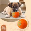 Smart Electronic Bouncing Ball Toy for Pets – USB Rechargeable, Interactive Play