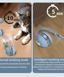 Smart Rolling Cat Toy Ball – Rechargeable, LED, Feather Tail Motion